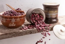 لوبیا چیتی ازبکستان؛ راهکار تولیدکنندگان حرفه‌ای برای محصولات باکیفیت